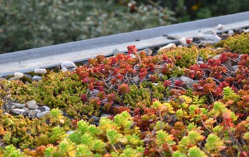 the cost of Coltishall green roof installation