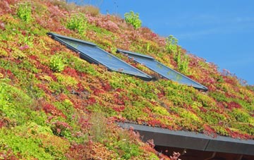 Coltishall living roof systems